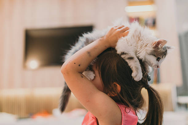istock Youthful girl keeps cuddly kitten balanced during joyful indoor activity 2246131468