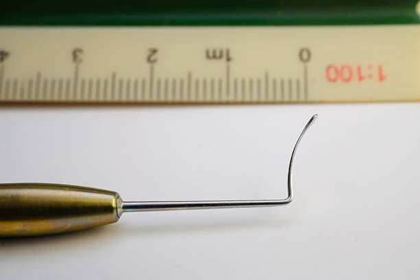 A close-up of a dental tool with a curved hook, placed next to a ruler for scale