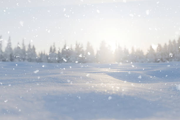 istock Snowy winter landscape with soft sunlight and gentle snowfall over pristine white snow dunes and a forest background. Ideal for holiday, nature, and seasonal themes 2246132411