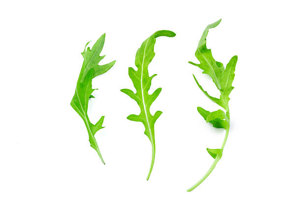 istock Fresh arugula leaves arranged on a white background for culinary use and presentation 2246137149
