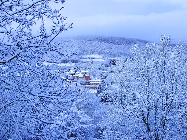 This quiet, atmospheric scene captures the stunning predawn stillness through the frozen branches of an Ash tree (Fraxinus excelsior) with snow blanketing the valley at Christmas in Pontypool, Torfaen, Wales, UK