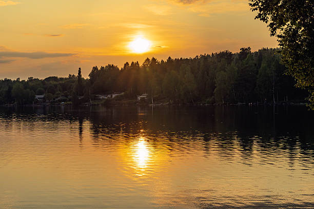 Midsummer night view of a lake in Hankasalmi, Finland. Some forest is seen in the background growing on islands and on the opposite shore. Clouds (cirrus uncinus) are reflecting from the lake surface. A large birch tree is seen on the left.