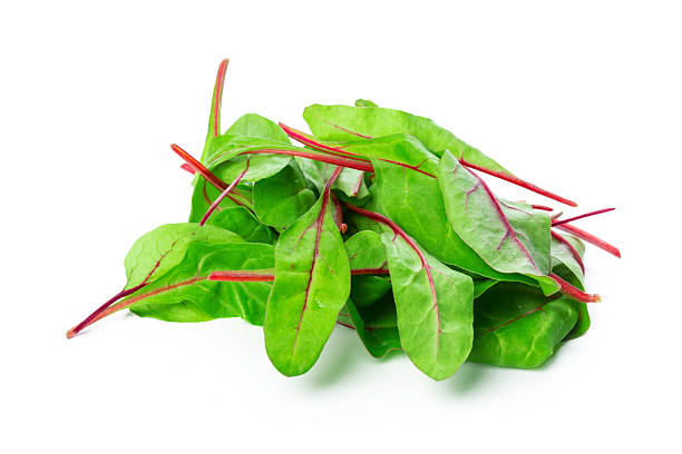 istock Fresh Swiss chard leaves with vibrant stems on a clean white background 2246138498