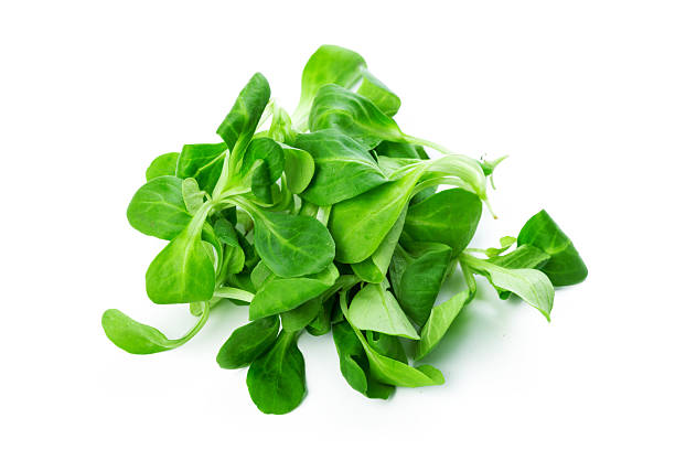 istock Fresh green leaves ready for salad preparation in a clean kitchen setting 2246138505