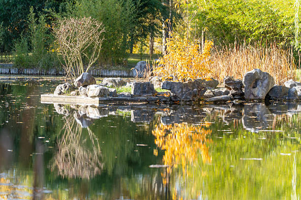 Small rocky islet with shrubs mirrors perfectly in a calm pond. Golden foliage adds a bright splash of fall color.