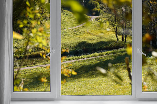 istock View from the window  on yellow treesin a garden, landscape with autumn forest, window frame. 2246143564
