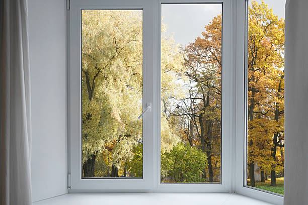 istock View from the window  on yellow treesin a garden, landscape with autumn forest, window frame. 2246143565