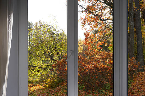 istock View from the window  on yellow treesin a garden, landscape with autumn forest, window frame. 2246143581