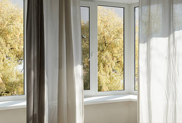 istock View from the window  on yellow treesin a garden, landscape with autumn forest, window frame. 2246143602