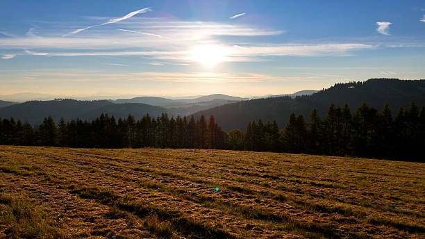 istock Drone flight over sunrise, mountains, forest, USA, America 2246147234