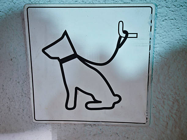 Sign warning dog owners that wild burros might harm tourist's dogs.