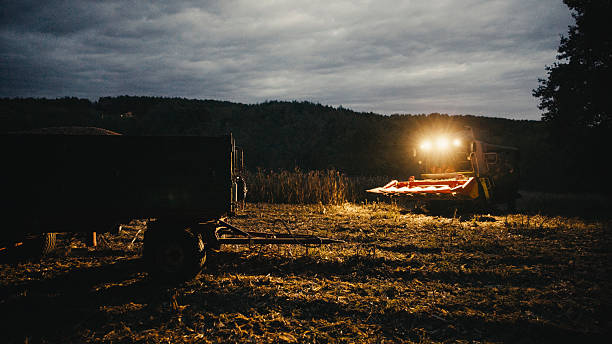 A combine harvester with glowing headlights approaches a grain truck in a dimly lit cornfield during the evening, ready for a nighttime harvest operation. The scene is set under a cloudy sky, highlighting the machinery's presence amidst the crops.