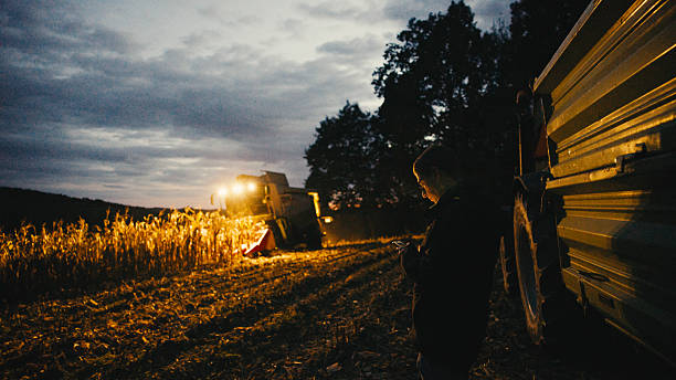 istock Combine Harvester Illuminating Cornfield at Night During Harvest 2246149748