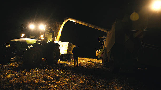 istock Man Supervising Nighttime Corn Transfer From Combine to Truck Under Bright Lights 2246150487