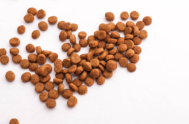 istock Dry kitten food on a white background 2246153112