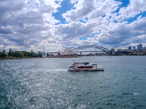 11 November 2025 Ferry in Sydney harbour with harbour bridge in background viewed from Botanical Gardens  in Sydney NSW Australia