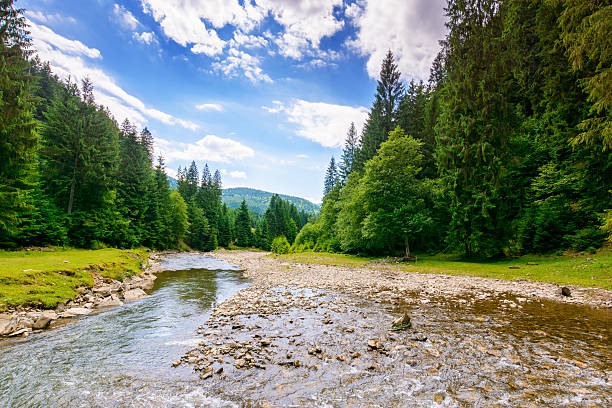 istock landscape with mountains, forest and a river in front 2246158865