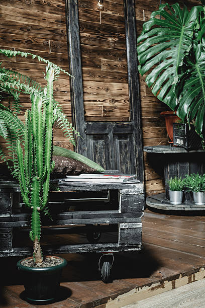istock Indoor setting with plants and rustic wooden decor near a closed door 2246159214