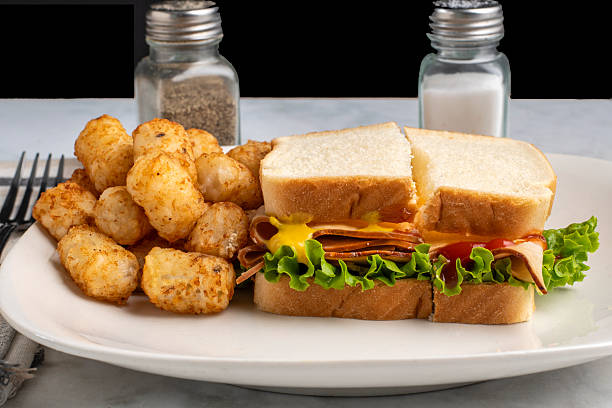 istock turkey  sandwich served with tater tots, 2246161818