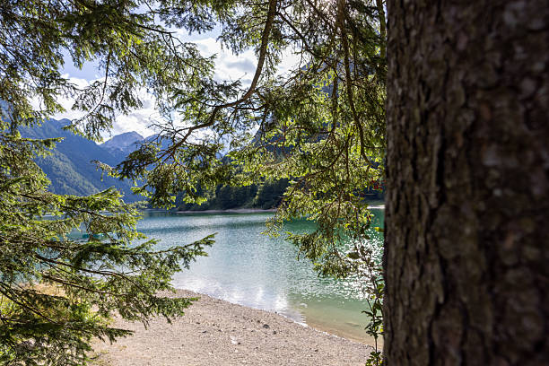 istock Peaceful Forest View Toward Mountain Lake with Clear Water and Sandy Shoreline 2246164317