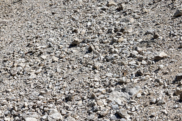 Lake shore covered with a variety of pebbles glistening under bright sunlight. The natural arrangement of stones creates a textured surface along the water's edge, providing a tranquil and picturesque setting.