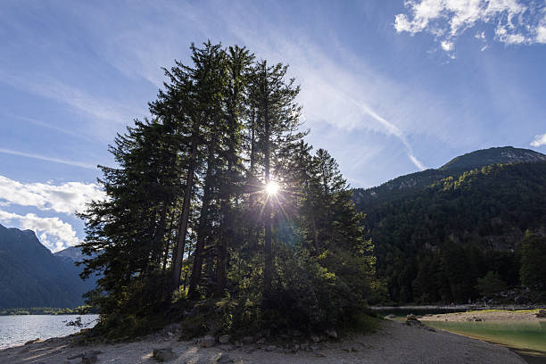 Scenic view featuring tall evergreen trees with sunlight filtering through branches at a mountain lake landscape. The sky is partly cloudy, and the surrounding hills create a tranquil and natural setting.