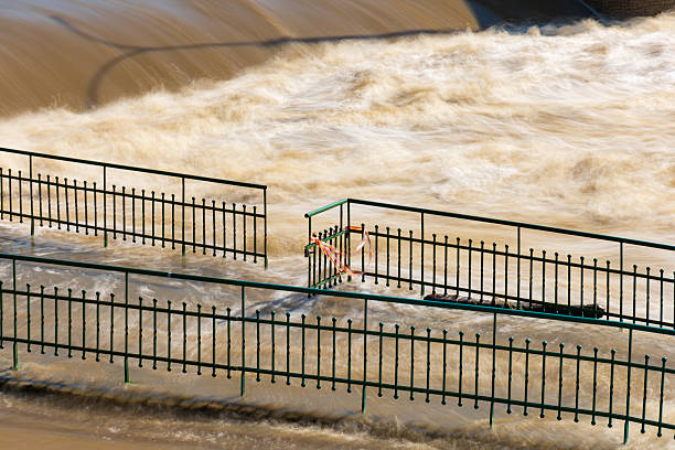 river Danube in Novi Sad