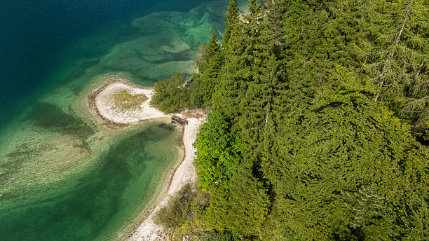 Aerial view of forest edge and clear mountain lake shoreline featuring lush green trees, sandy beach, and vibrant blue waters. The scene showcases the natural beauty of the landscape, highlighting the serene and pristine environment.