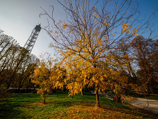 Autumn at Parco Sempione, public park in Milan, Lombardy, Italy