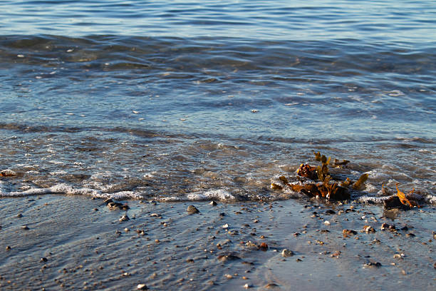 Clear ocean wave washing over sand on beach