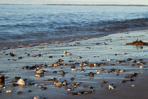 A calm beach coastline in a soft golden light in the summertime, low angle perspective