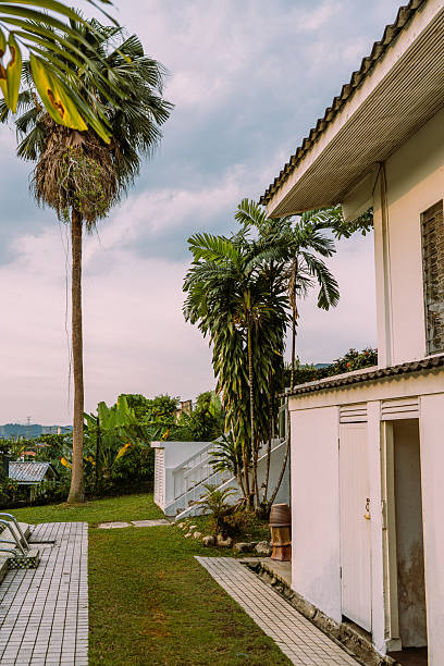 istock A tropical-style villa with an infinity pool, surrounded by vibrant palm trees and lush greenery. 2246173606