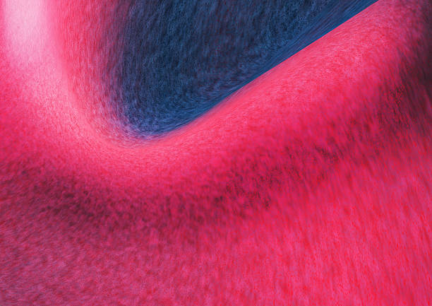 A bold, colorful abstract texture featuring pink and blue gradients blending into a smooth curved wave. Ideal for modern backgrounds, creative layouts, and digital art projects seeking vibrant energy.