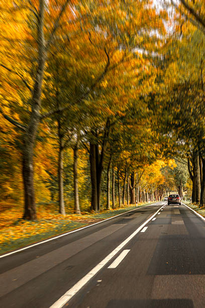 istock Straight autumn road between trees. Car in perspective. 2246176859