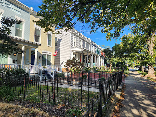 Washington DC, USA- October 15, 2024: Historic DC Row houses on a Tree-Lined Street