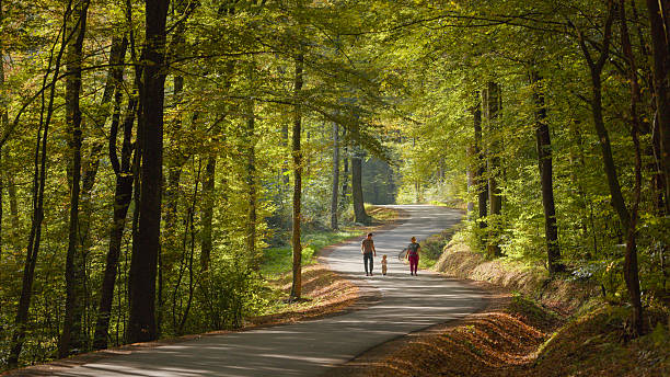 istock Caucasian Family Strolling Along Winding Forest Path Surrounded by Lush Greenery 2246177549