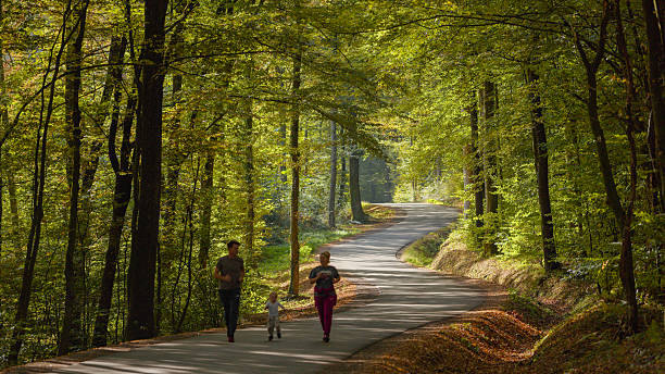 istock Caucasian Family Enjoying a Leisurely Walk on a Serene Forest Path 2246177554