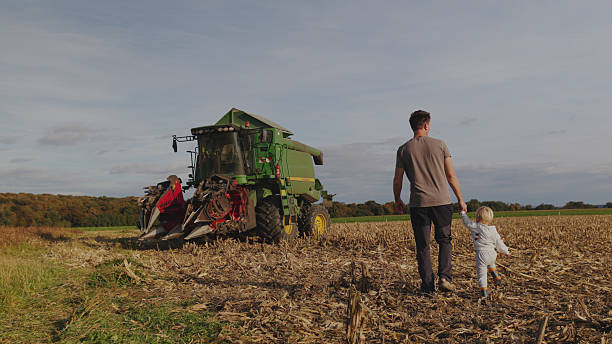 istock Caucasian Father and Son Exploring Cornfield with Interest in Combine Harvester 2246177660