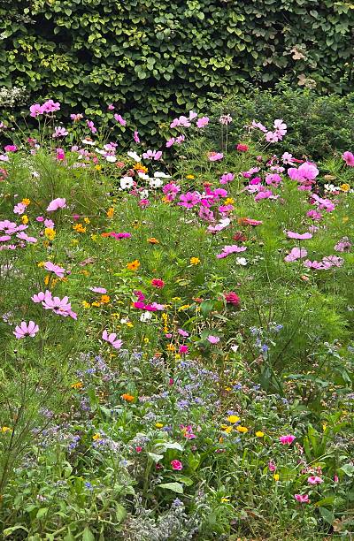 istock Bright display of flowers 2246184828