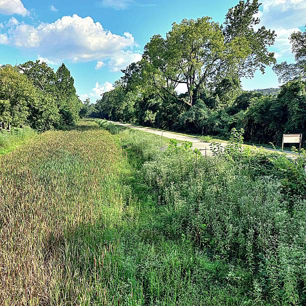 istock Capital Crescent Trail in Washington DC 2246185276