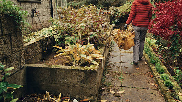 istock Winter garden tidy in November 2246186542