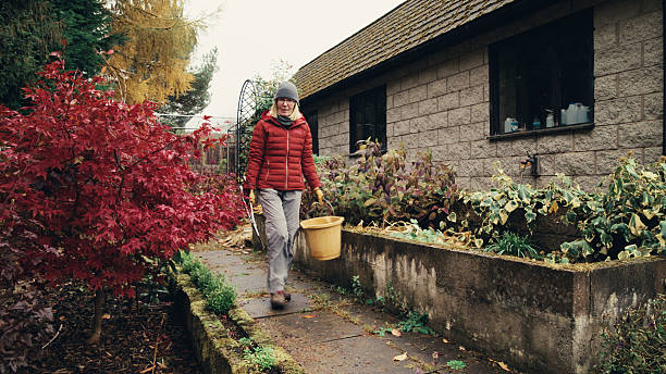 istock Winter garden tidy in November 2246186776
