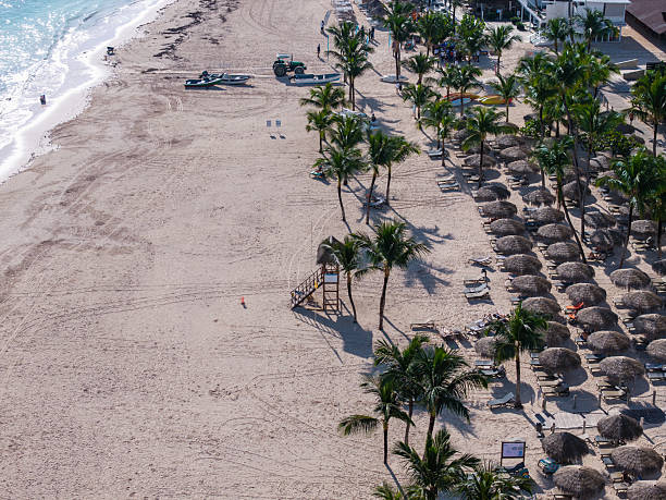 istock Punta Cana beach in Dominican Republic 2246189119