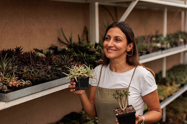 istock Female Botanist Organizing Succulent Plants on Shelf 2246193277