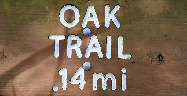 istock Old Wood Trail Sign 2246198498