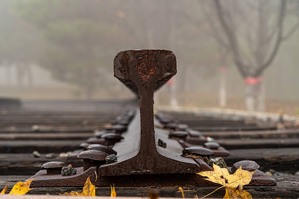 Close-up of a rusty railroad track with autumn leaves leading into a foggy landscape
