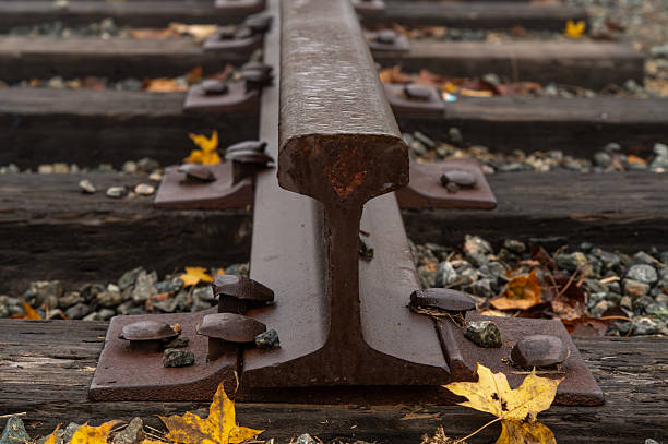Rusty main railroad track running through wooden ties and autumn leaves