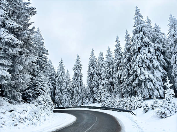 istock empty winding road through the snow covered pine forest. winter landscape. winter background with snowy forest. winter atmosphere. alpine winter landscape. minimalist nature background 2246202824