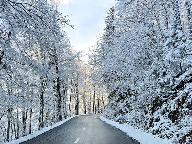 istock winding road through a snowy forest. winter forest. natural winter background. sunset lights. golden hour. minimalistic. christmas festive atmosphere 2246202940