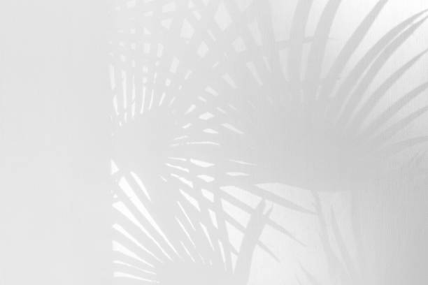 istock background of white transparent curtains illuminated by soft sunlight. Hazy glow and subtle shadows. 2246206792
